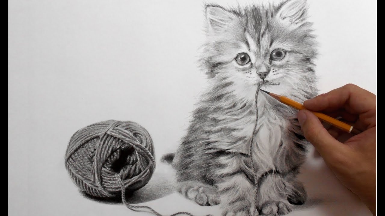 Диван с рисунком кошки