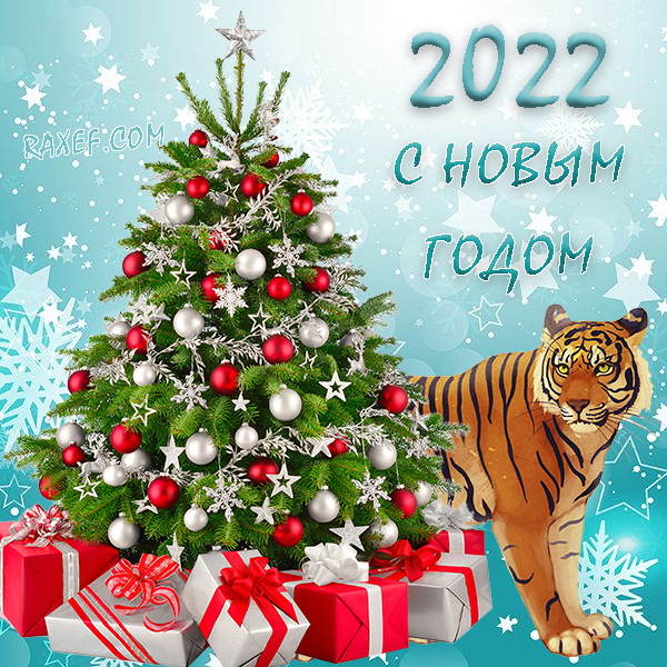 Поздравления с Новым 2022 годом Тигра (33 фото) .