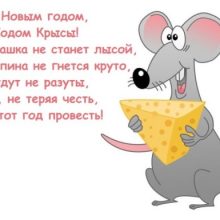 Стихи на Новый 2020 год (42 фото)