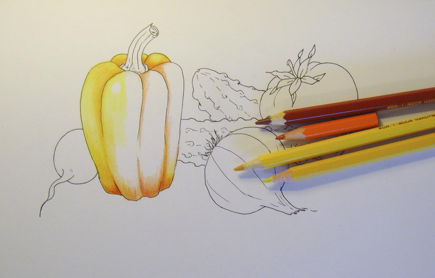 Натюрморт фрукты и овощи карандашом