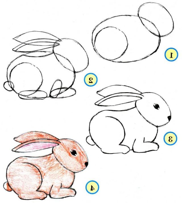 Как нарисовать животных карандашом профессионально