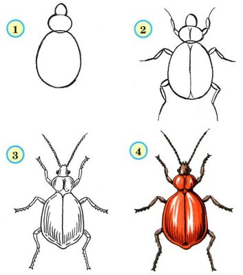 Насекомые картинки карандашом