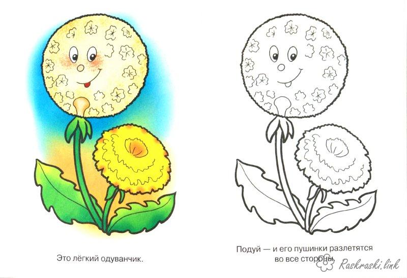 Одуванчик картинка для детей для раскрашивания