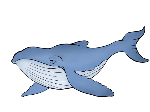 Рисунки карандашом для детей кит (30 фото) 🔥 Прикольные картинки и юмор