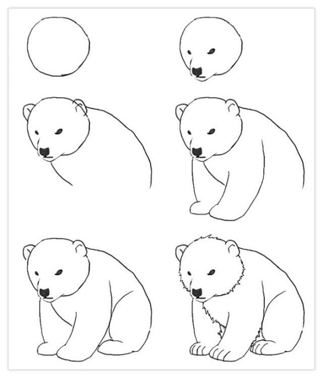 Как нарисовать животных карандашом поэтапно