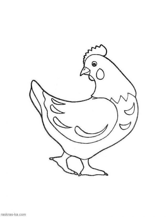 Рисунки курицы и рисунки карандашом для детей Курица (24 фото)