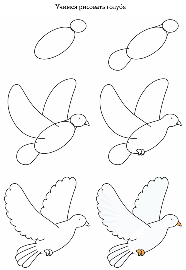 Как легко нарисовать птицу ребенку