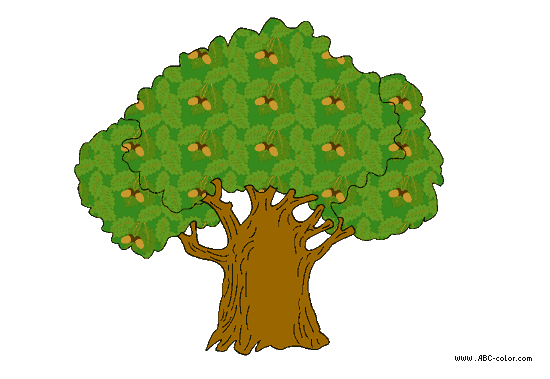 Рисунки карандашом дерево дуб (25 фото) 🔥 Прикольные картинки и юмор