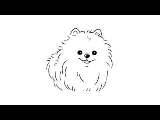Нарисовать собаку карандашом шпиц