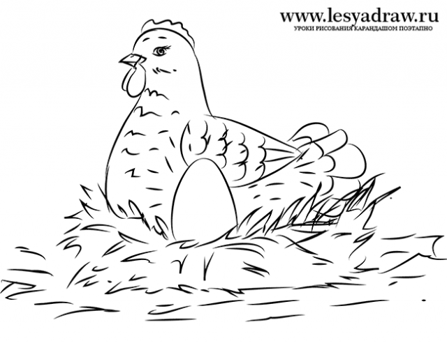Рисунки курицы и рисунки карандашом для детей Курица (24 фото)