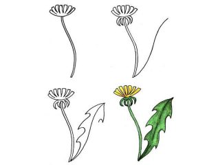 Картинка одуванчика без цветка для рисования для детей