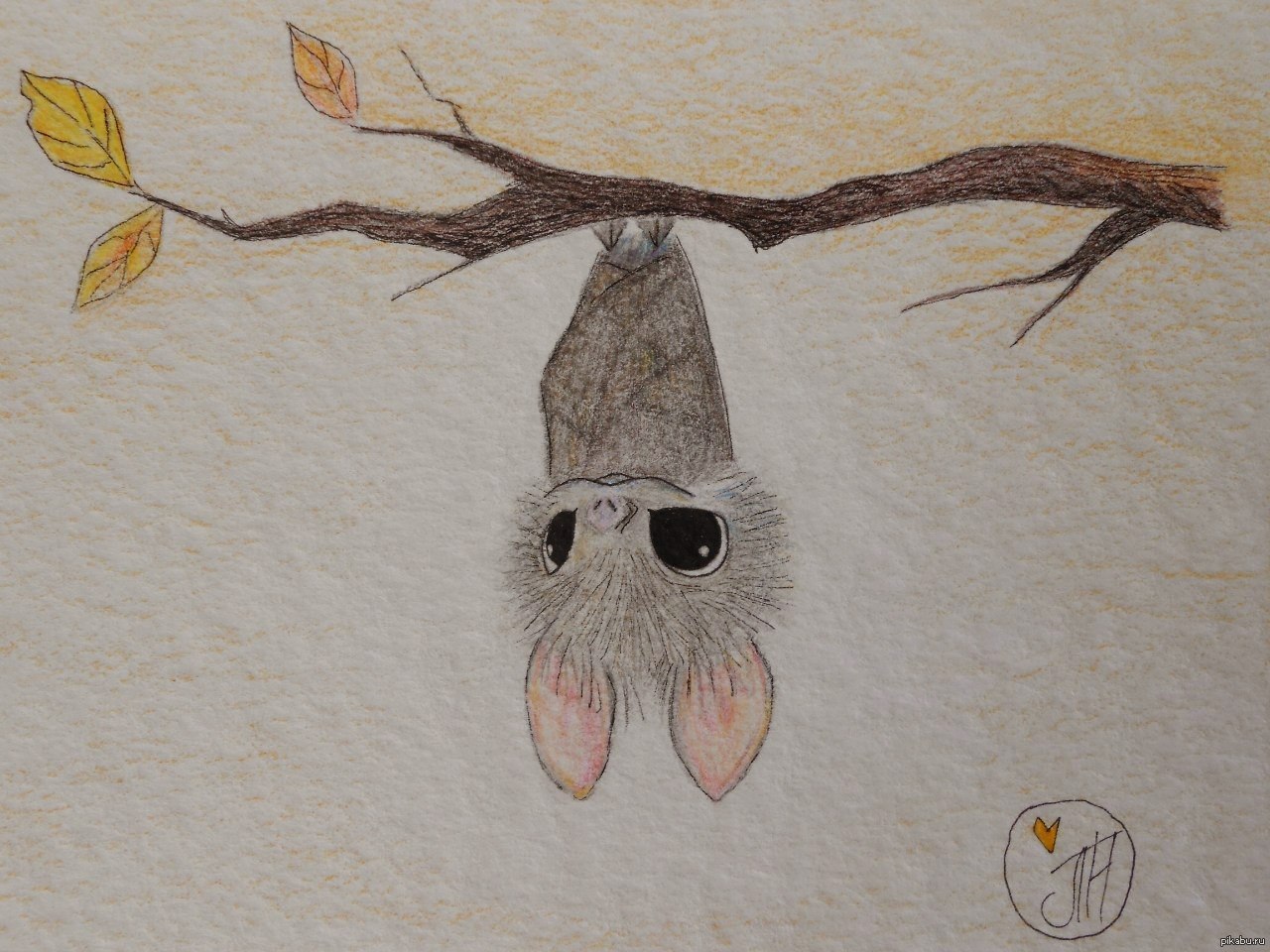 Картинки для срисовки летучая мышь