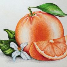 Цветные рисунки для срисовки (33 фото)