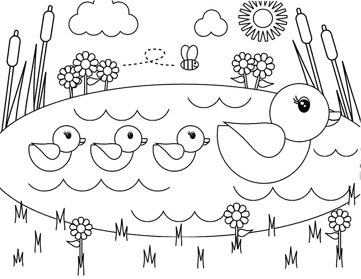 Картинки утка с утятами для детского сада