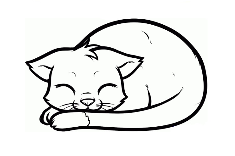 Рисунки котенка карандашом для детей (26 фото) 🔥 Прикольные картинки и юмор