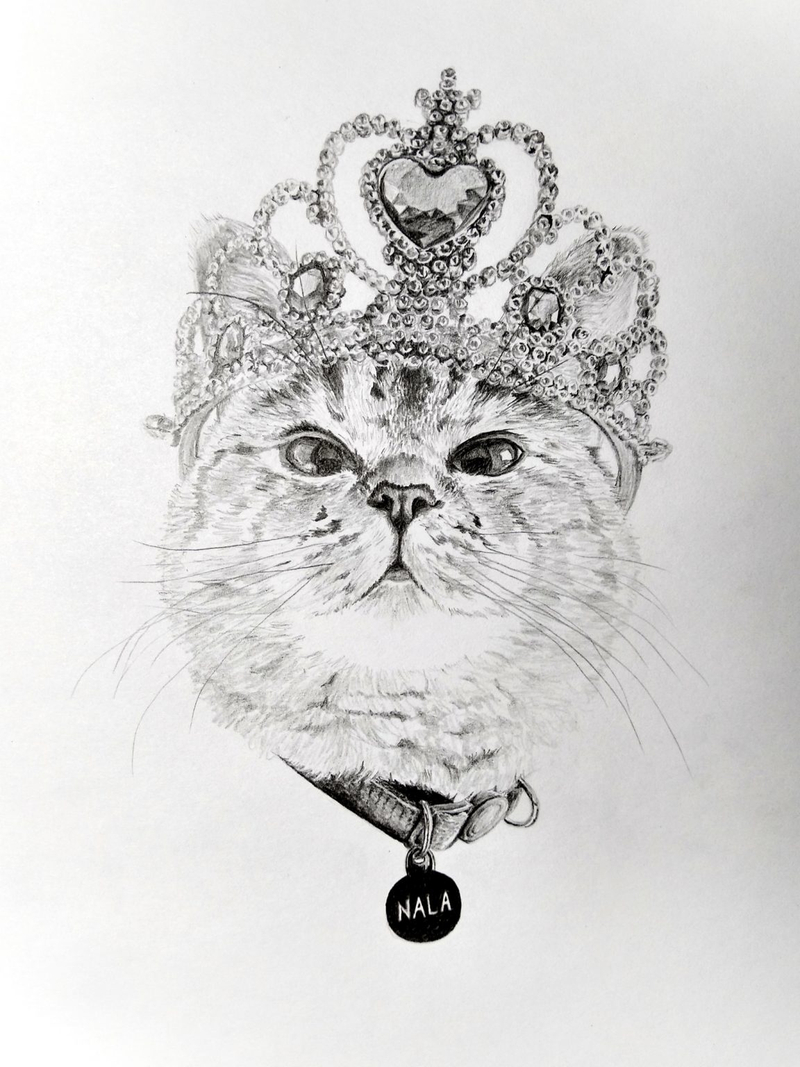 Кот в короне рисунок