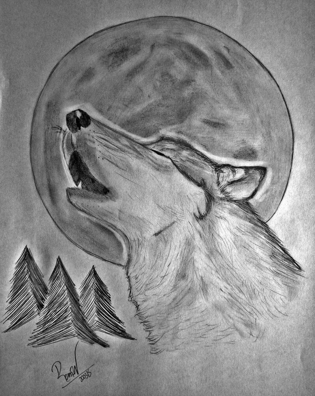 Рисунок волка простым карандашом