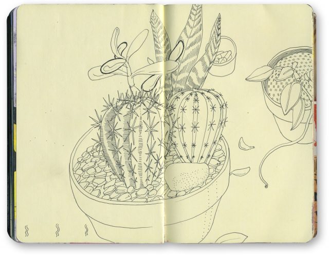 Рисунки растений для скетчбука легкие