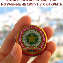 ΠΡΠΈΠΊΠΎΠ»Ρ ΠΊΠΎΡΠΎΠ½Π°Π²ΠΈΡΡΡ (46 ΡΠΎΡΠΎ)