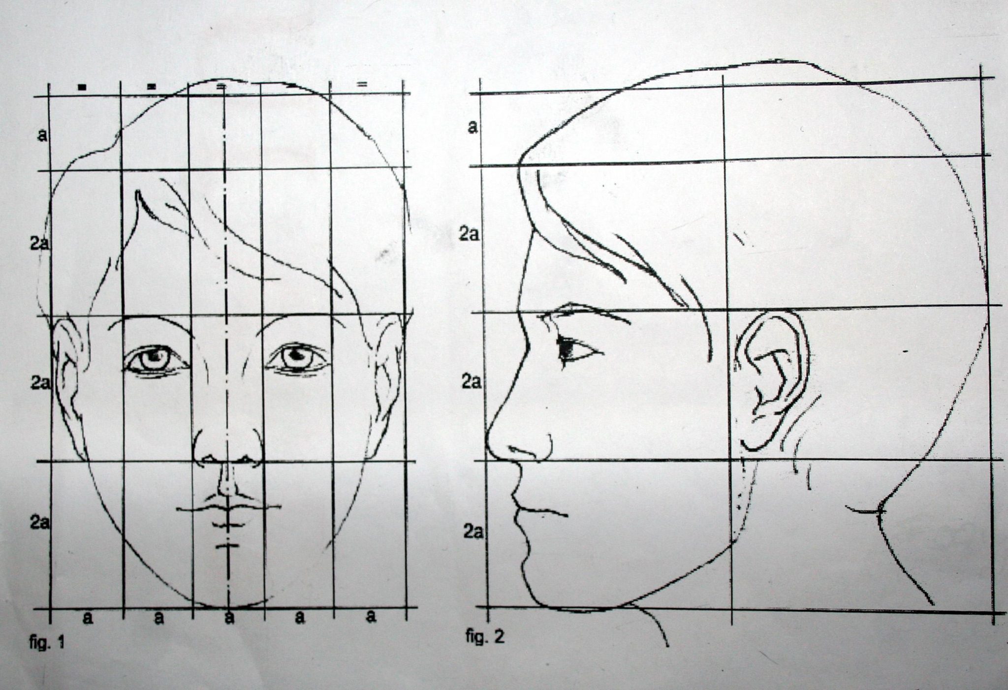 Рисунки 4 на 4 см. Портрет (конструкция головы человека. Анфас, профиль). Пропорции портрета человека. Пропорции головы человека анфас и профиль. Пропорции портрета человека профиль