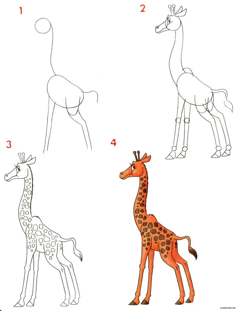 Жираф рисунок простой