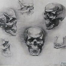 Рисунки черепа карандашом для начинающих (36 фото)