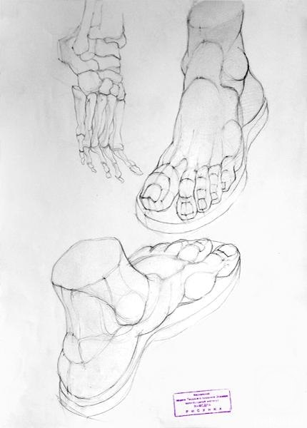Академический рисунок стопы