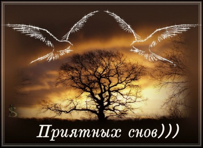 Спокойной ночи картинки с природой и надписями красивые
