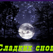 Пожелания спокойной ночи мужчине своими словами (35 фото)