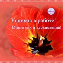 Пожелания успехов в работе своими словами ( 15 фото)