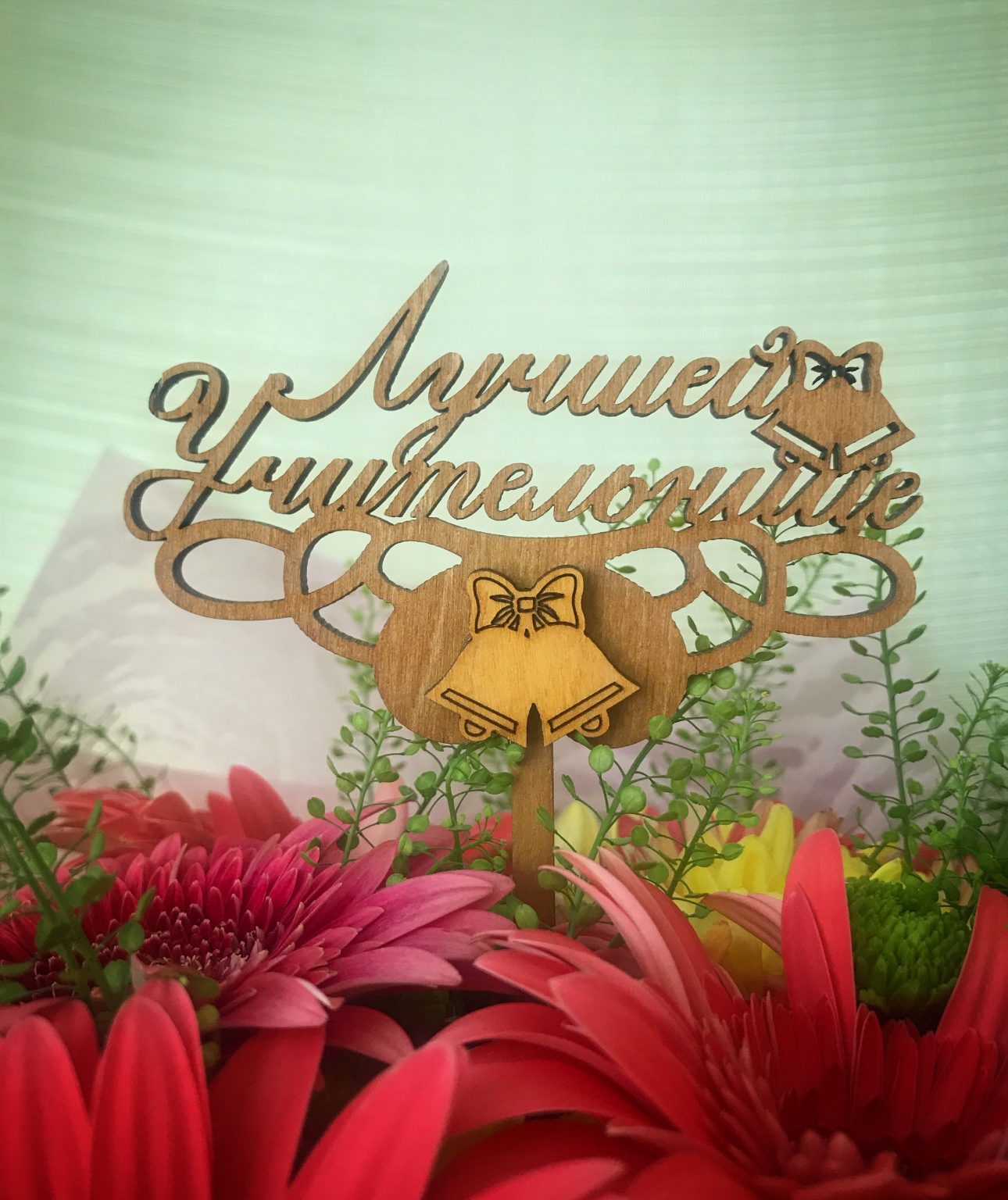 Лучшая учительница картинки