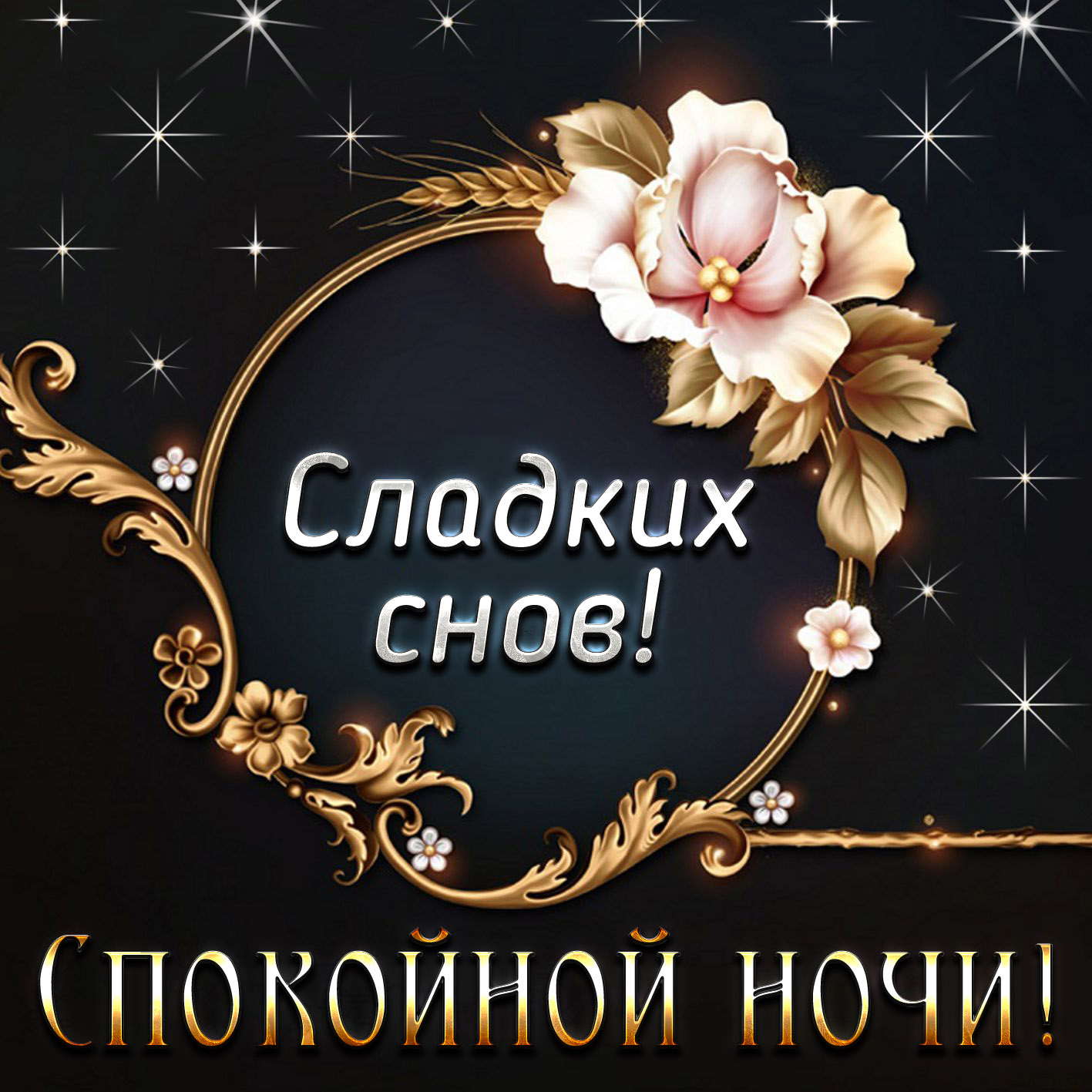 Пожелания спокойной ночи девушке в прозе (30 фото) 🔥 BipBap.ru