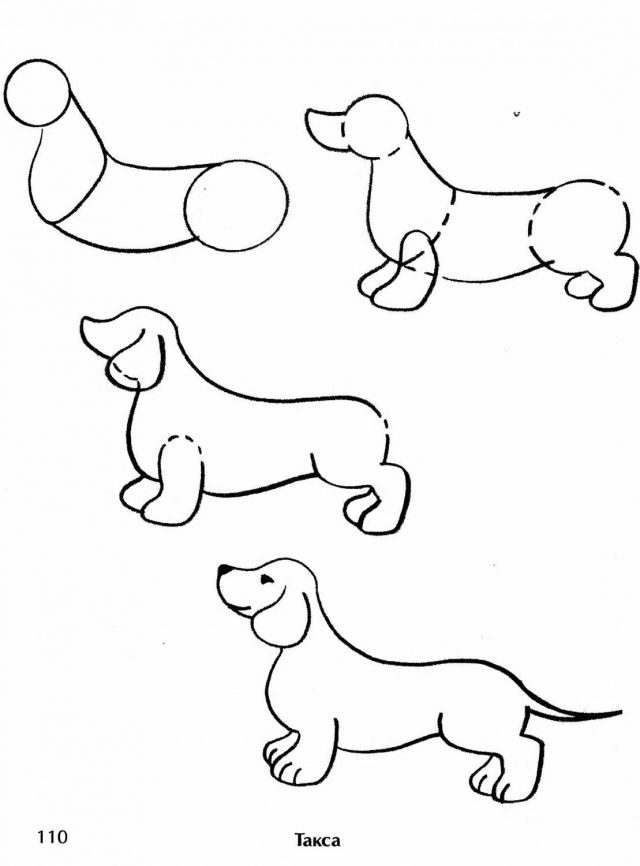 Нарисовать собаку для детей легко карандашом начинающих