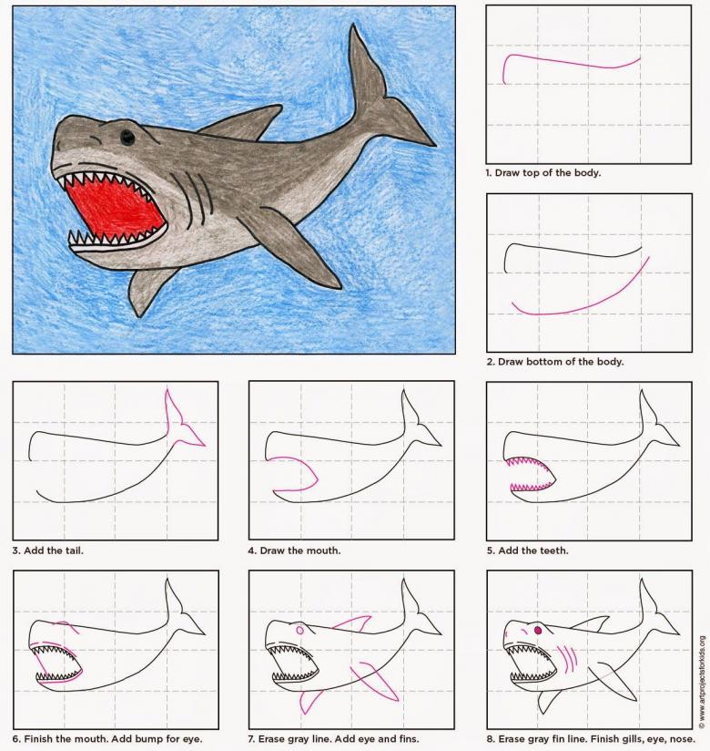 Нарисовать настоящую акулу