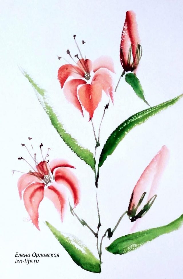 Картинки для срисовки цветы акварелью легкие