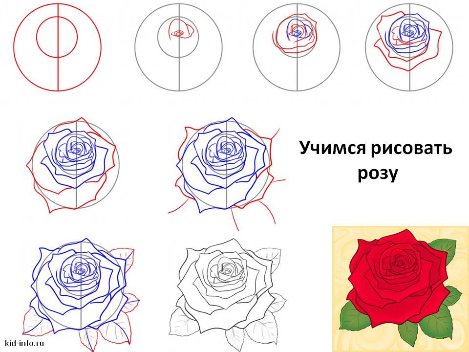 Рисунок розы для срисовки легкие