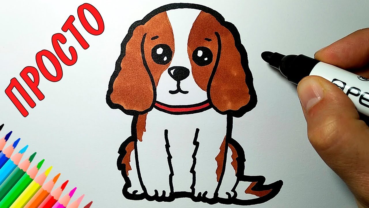 Видео как нарисовать по клеточкам собаку