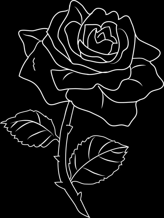 Сорта Черной Розы Фото