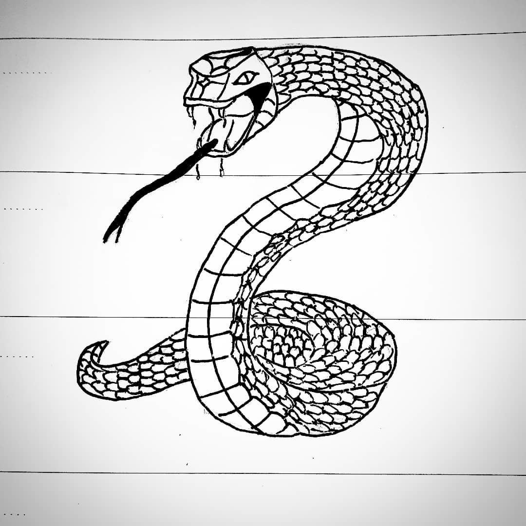 Картинки змей карандашом