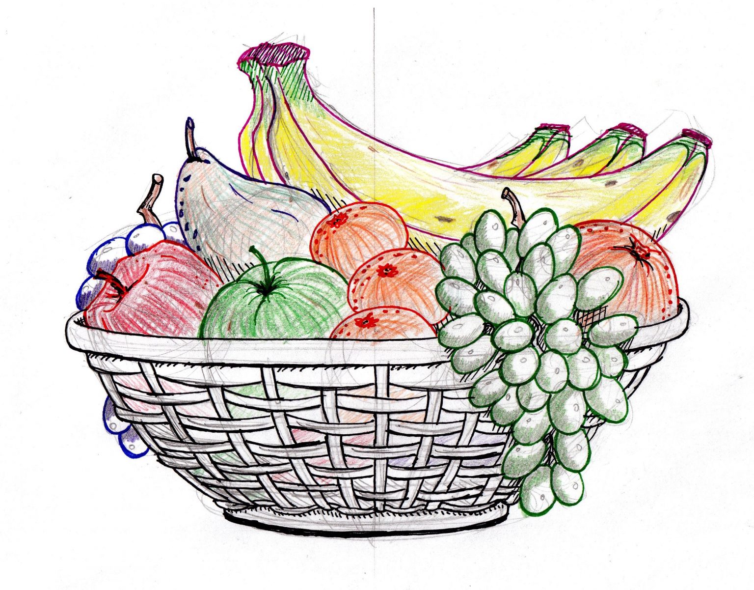 Картинки фруктов карандашом для срисовки (32 фото) 🔥 Прикольные