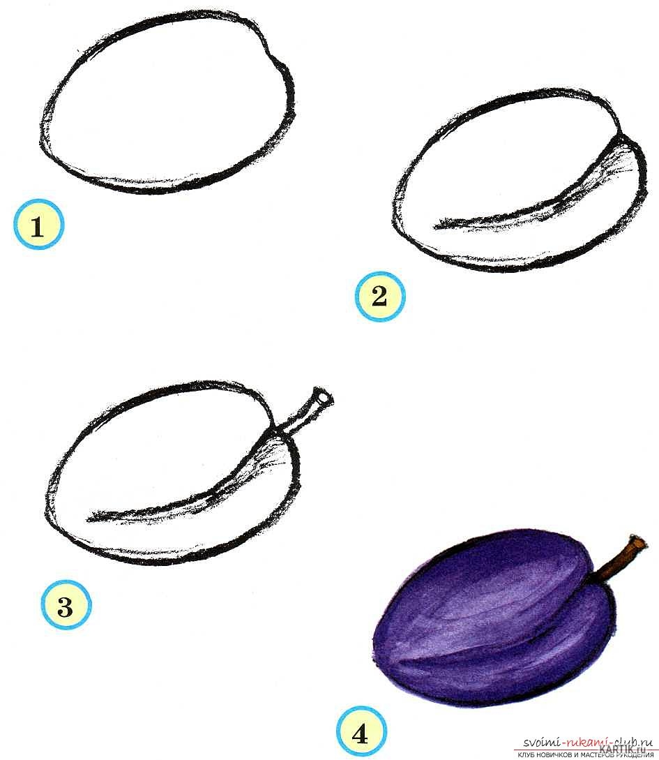 Фрукты рисунок карандашом для срисовки