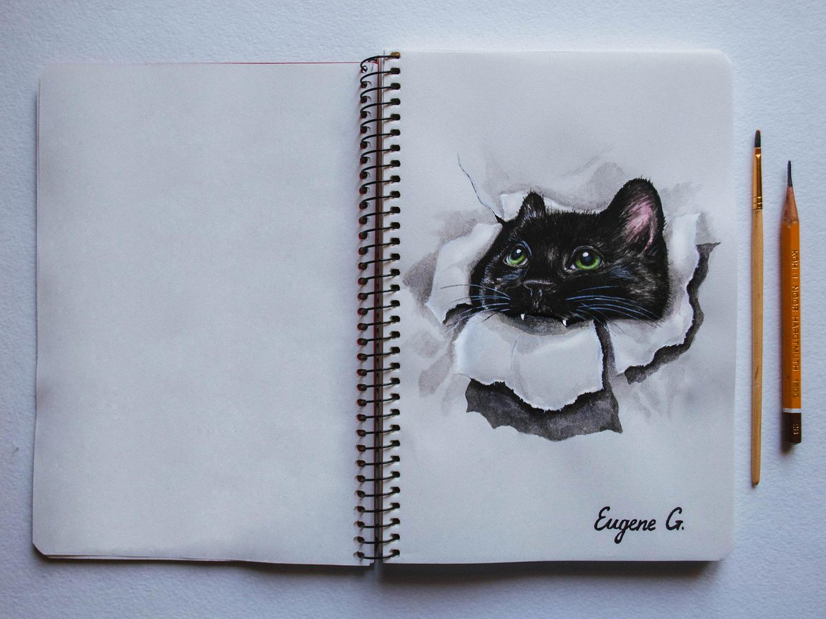 Скетчбук для рисования карандашом котик