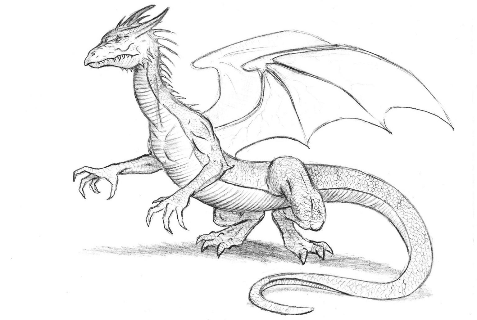 Нарисовать дракона ребенку