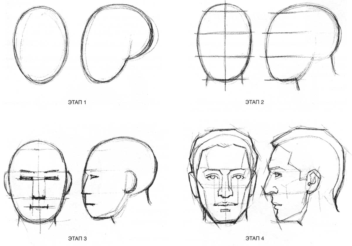 Поэтапное изображение лица человека