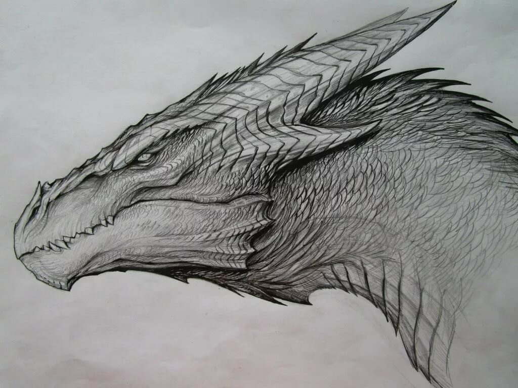 Черно-белые рисунки драконов карандашом (27 фото) 🔥 Прикольные картинки и ...