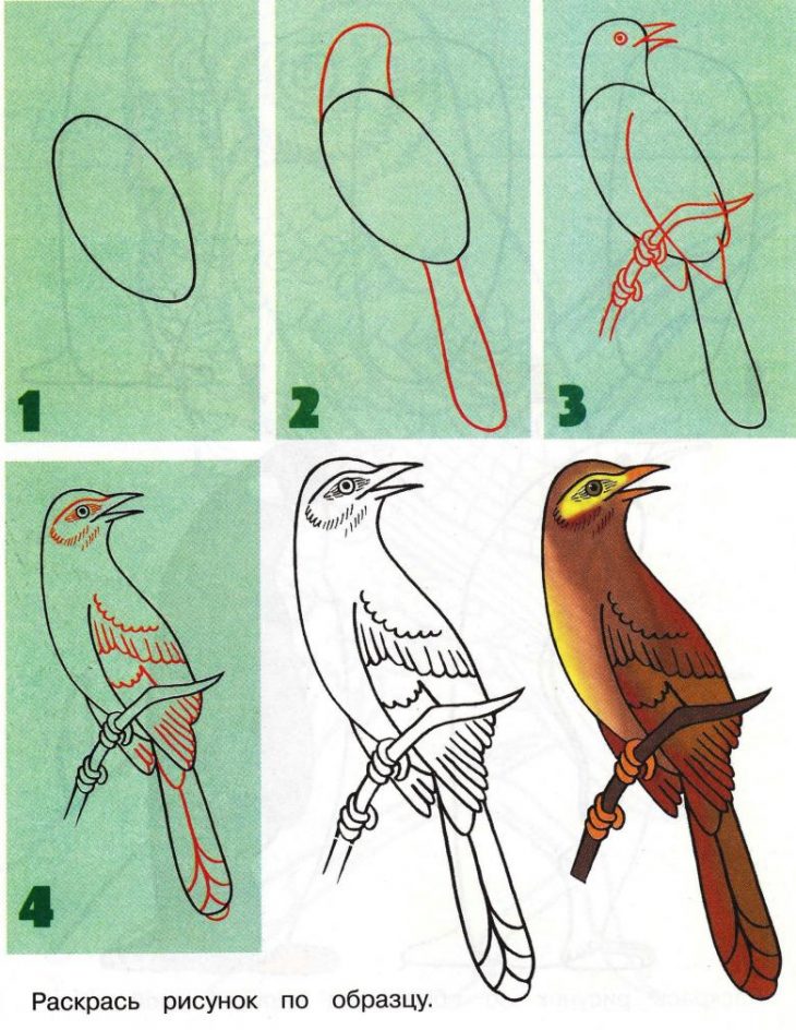 Рисунок птицы карандашом для срисовки легкие