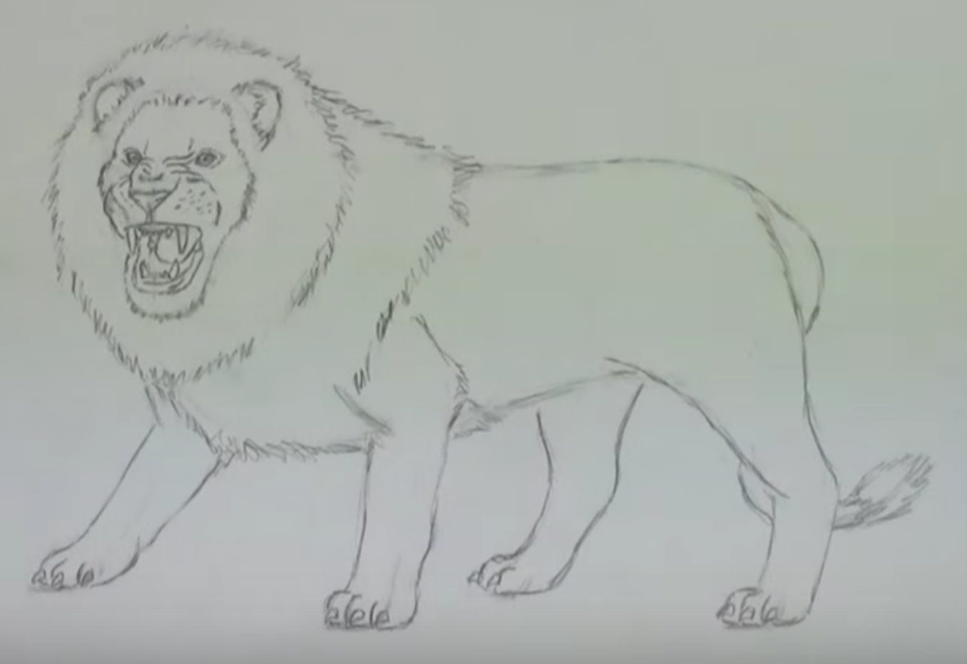 Как нарисовать Льва карандашом