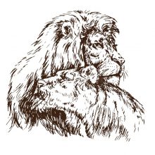 Рисунки карандашом лев и львица (27 фото)