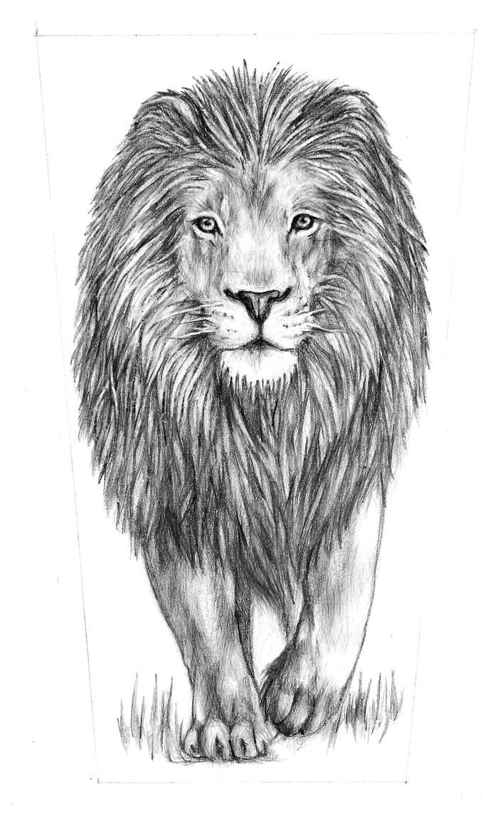 Рисунки льва збарского
