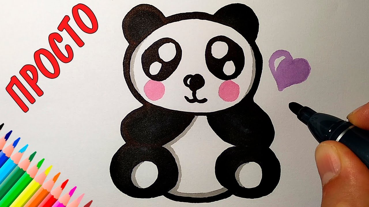 Панда рисунок карандашом